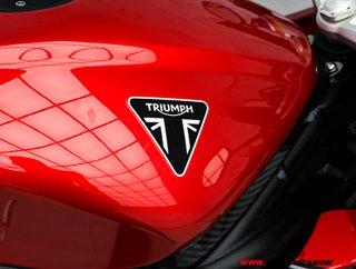 TRIUMPH SPEED TRIPLE 1200 RR