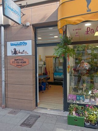 Local comercial en alquiler en Laviada en Gijón