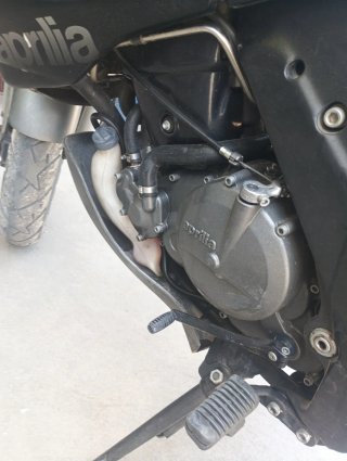 Aprilia Pegaso Gris