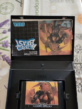 2 Giochi Sega Mega Drive