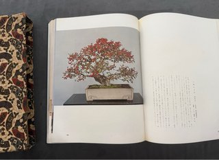 Nippon Bonsai Taikan (日本盆栽大観) libro Giapponese