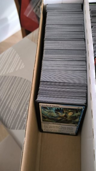 Lote +200 cartas Bloomburrow