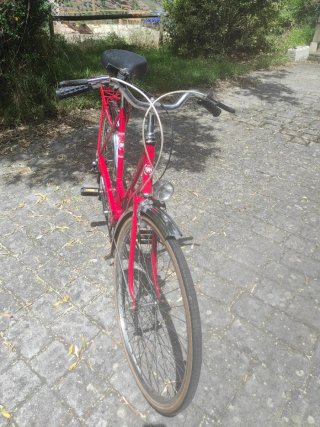 Bicicleta Gacela BH Clásica 5V
