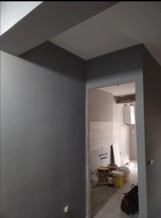 Pintor económico