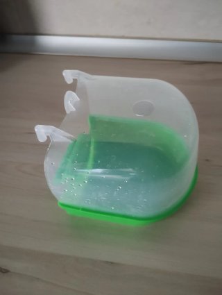 Bañera para agapornis y pájaros