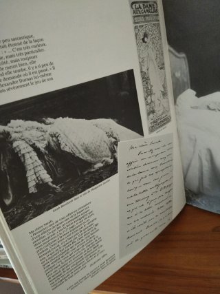 Christiane Issartel | Les damos aux Camelias
