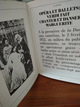 Christiane Issartel | Les damos aux Camelias