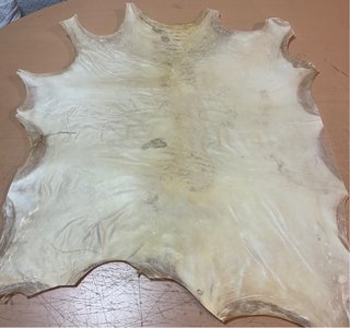 Pelle di pergamena per tamburi