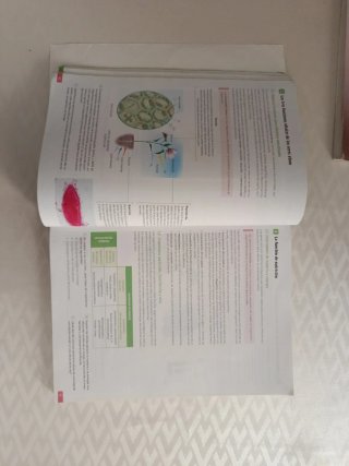 Biología, Geología y Ciencias Ambientales. 1 Ba...
