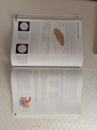 Biología, Geología y Ciencias Ambientales. 1 Ba...
