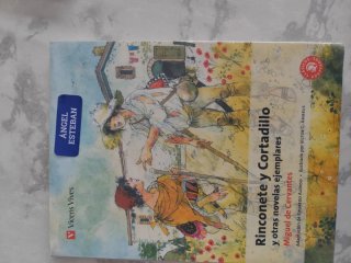 Libro rinconcete y cortadillo