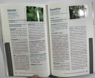 Aceites Esenciales. Guia de Iniciacion