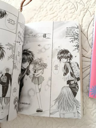 Manga completo