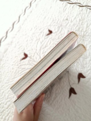 Manga completo