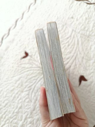 Manga completo