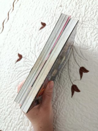 Manga completo