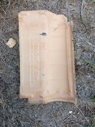 Teja Mixta