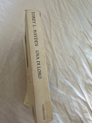 Romanzo