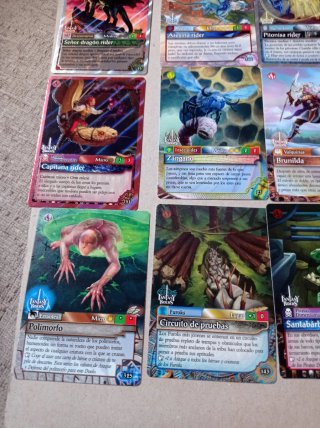 2 Scatole Fantasy Riders + 16 Carte