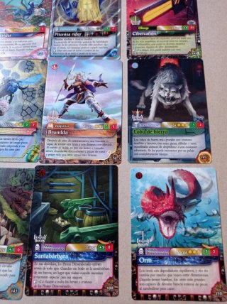 2 Scatole Fantasy Riders + 16 Carte