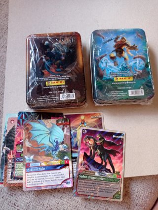 2 Scatole Fantasy Riders + 16 Carte