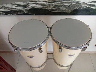 Congas Honsuy Beige con Supporto