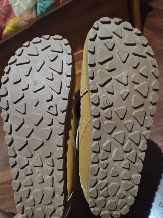 Zapatillas Miu Miu Marrón Leopardo