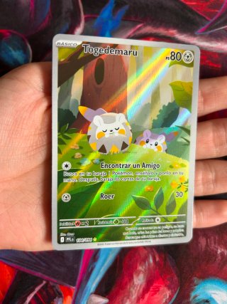 Carta Pokémon Togedemaru Básico PS 80