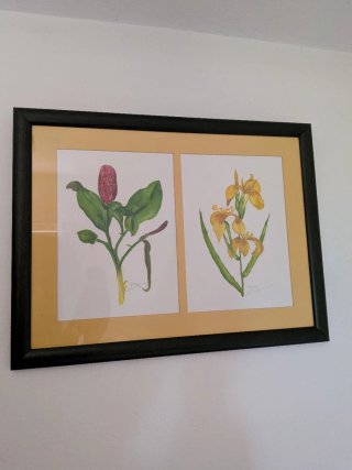 Cuadro Flores Acuarela Pintado a Mano