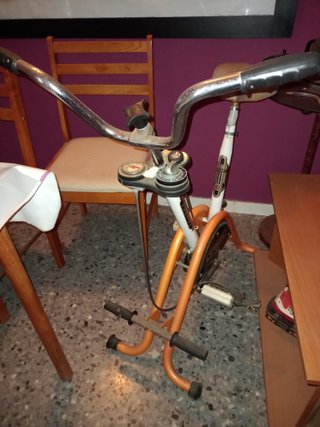 Bicicleta Torrot Estática