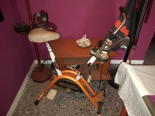Bicicleta Torrot Estática