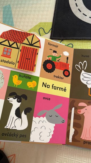 Lote de libros en checo