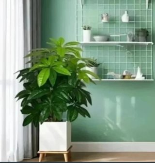 Planta Artificial Decorativa