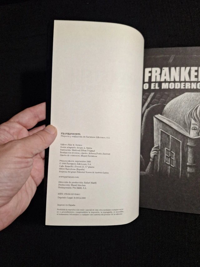 Sergio A. Sierra y Meritxell Ribas. Frankenstein