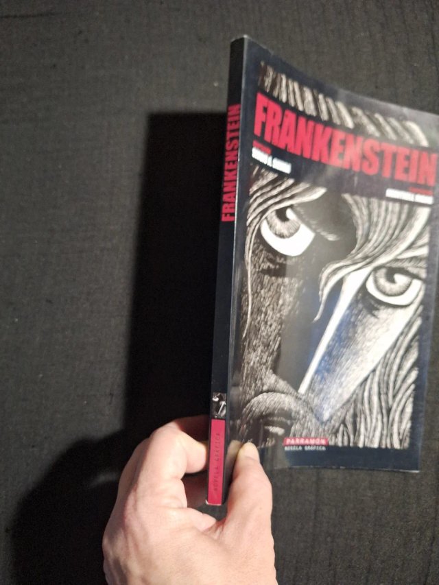 Sergio A. Sierra y Meritxell Ribas. Frankenstein