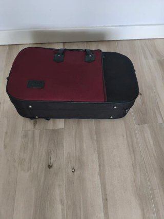 Funda Trompeta Bach