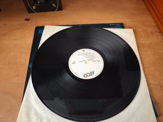 Vinilo Vandenberg