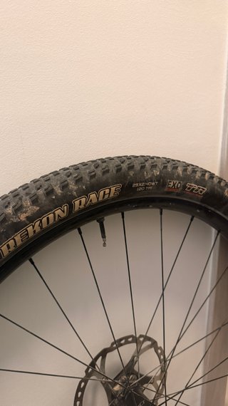 Maxxis Rekon Race 29 Neumático MTB