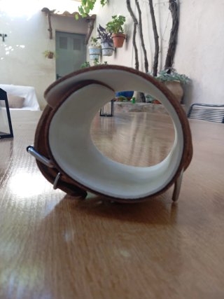 Tobillera Salter Fitness