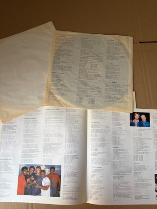 Vinilo Sting - Nothing Like The Sun