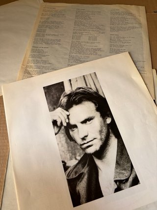 Vinilo Sting - Nothing Like The Sun
