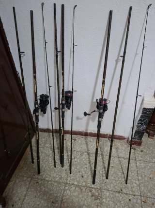 Cañas de pescar Carpe Endurance