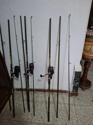 Cañas de pescar Carpe Endurance