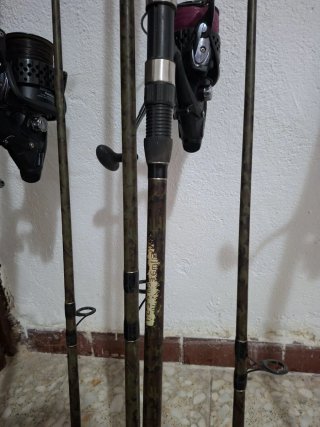 Cañas de pescar Carpe Endurance