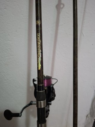 Cañas de pescar Carpe Endurance