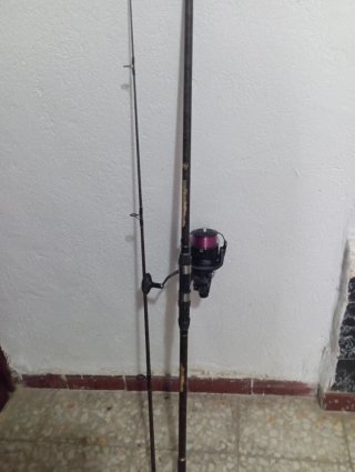 Cañas de pescar Carpe Endurance