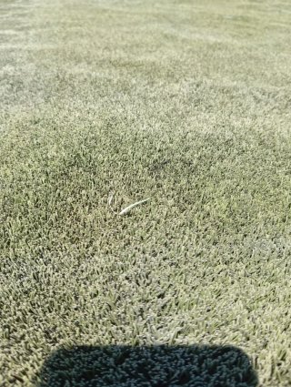 Césped artificial verde