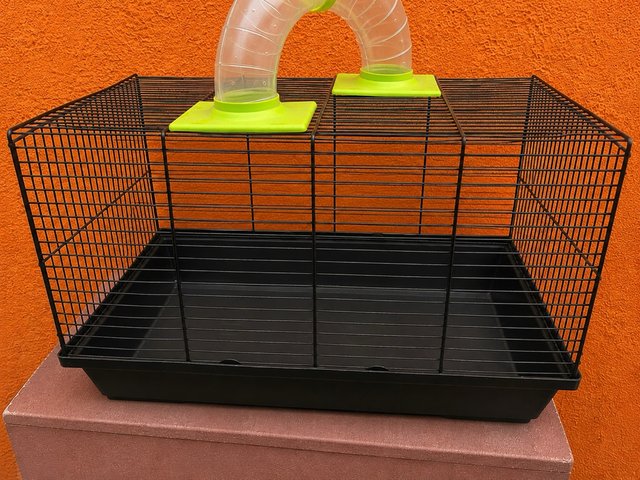 Jaula para hámster con túnel
