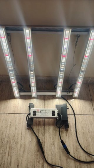Oferta pocos días! 5 Leds indoor muy barato