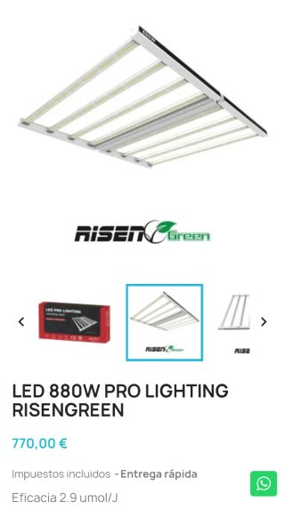 Oferta pocos días! 5 Leds indoor muy barato